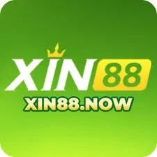 Xin88 icon